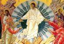 La Resurrezione del Signore. Omelia di Mons. Ignacio Barreiro