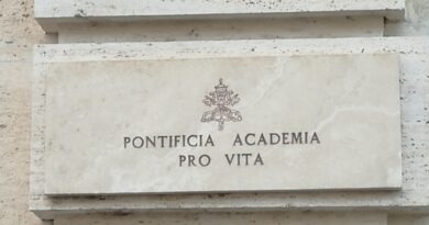 Cure Palliative Perinatali: Webinar internazionale della Pontificia Accademia per la Vita